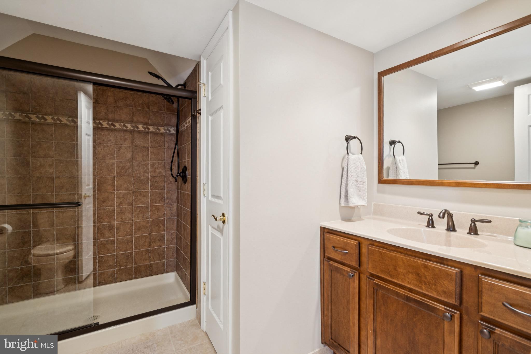 253 Jennings Way Mickleton, NJ 08056 - Photo 46 of 62 a bathroom with a shower sink and mirror