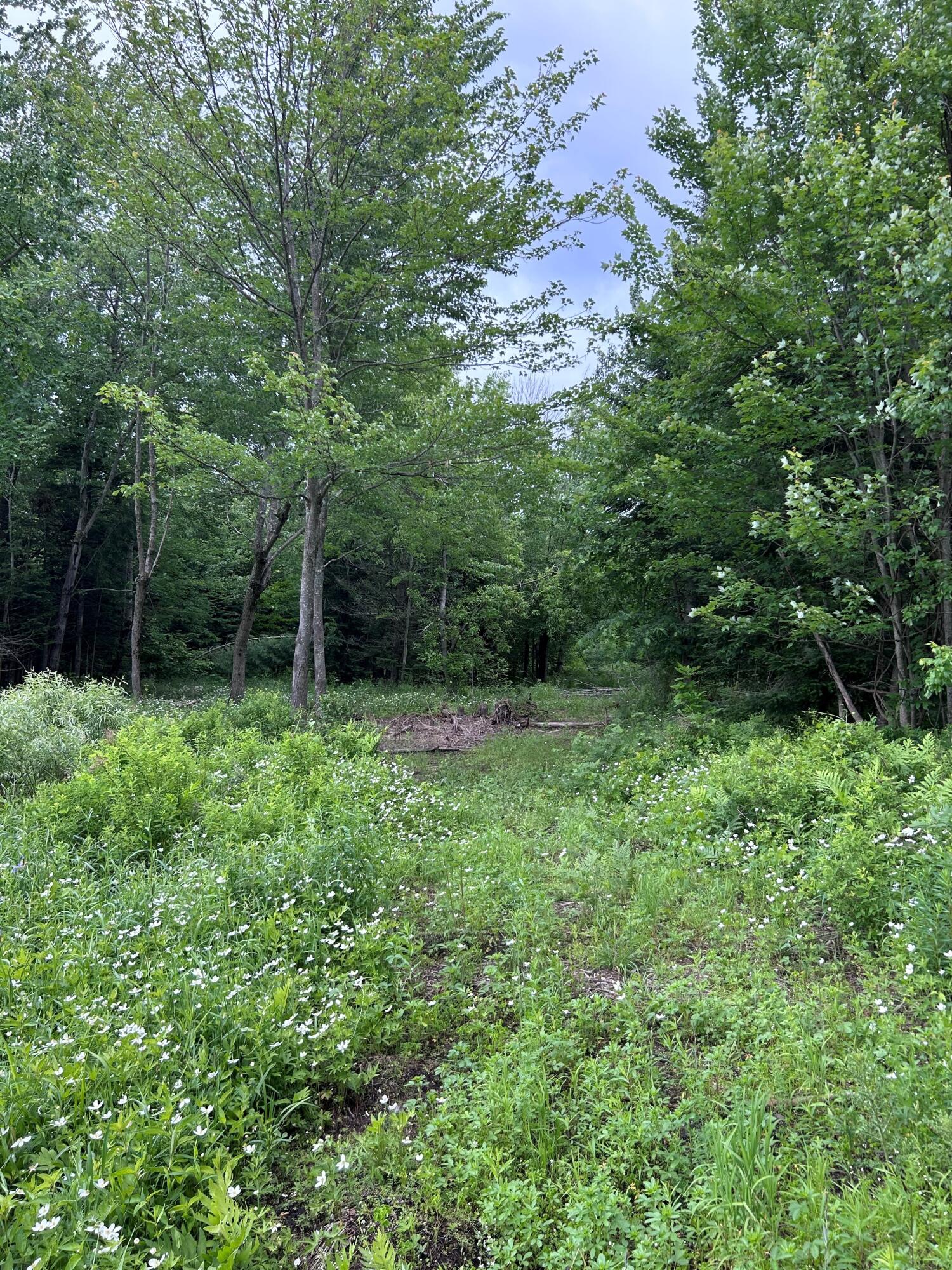 0 Cannon Corners Road Mooers, NY 12958 - Photo 6 of 14 6