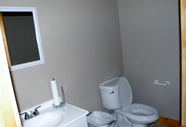 a bathroom with a toilet a sink and mirror