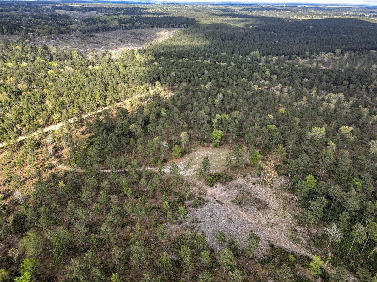 0 Deer Run Road, Unit E Williston, SC 29853 - Photo 13 of 15