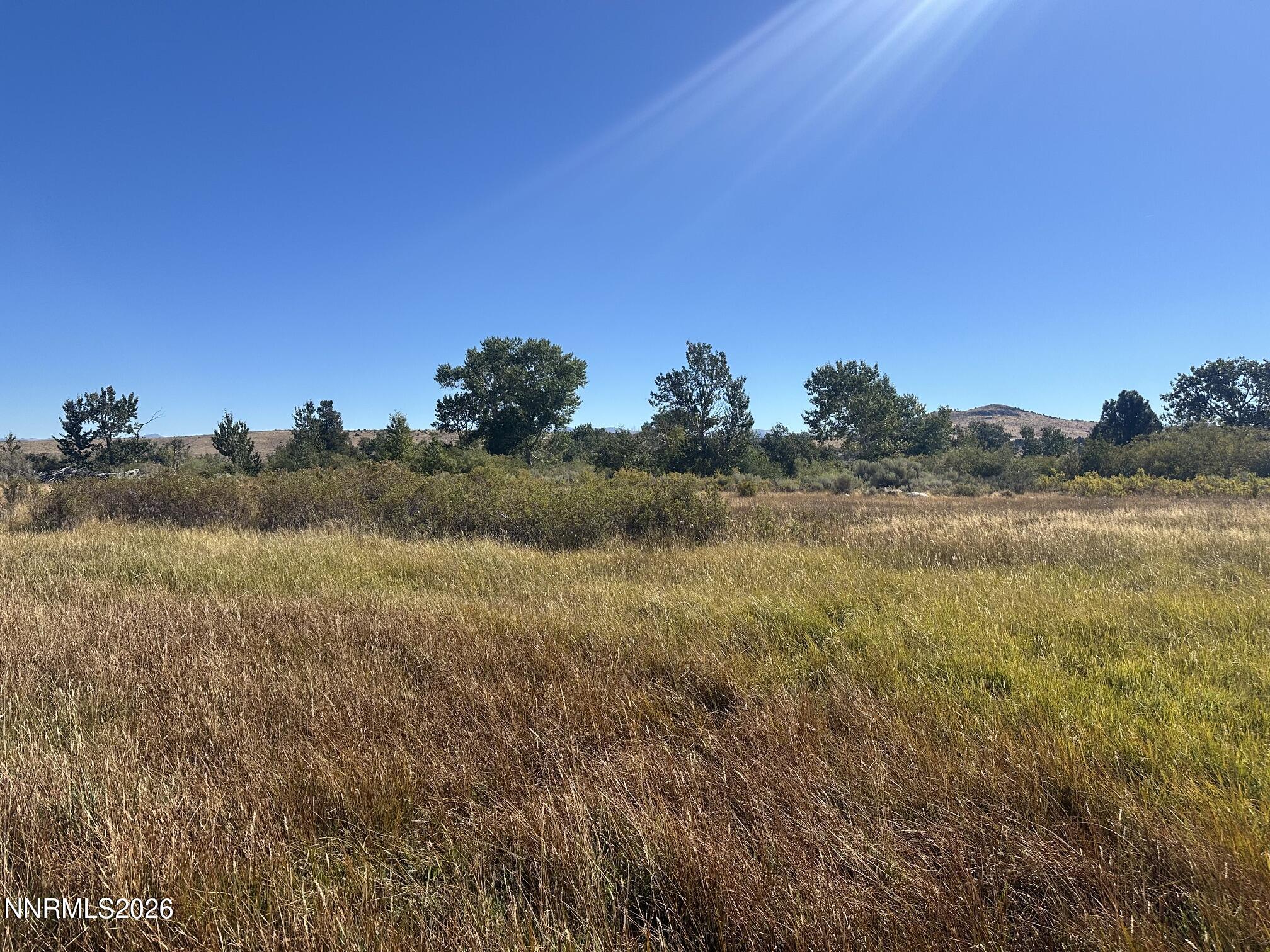 60 River Ranch Road Markleeville, CA 96120 - Photo 30 of 36 IMG_3921