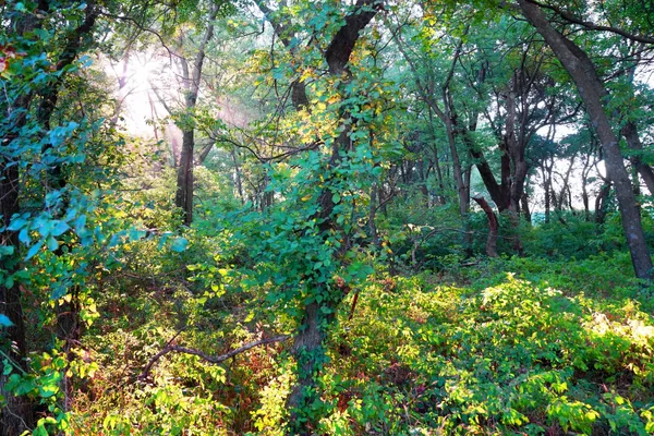 $595,000 | Southwest 175th Street, Rose Hill, KS 67133