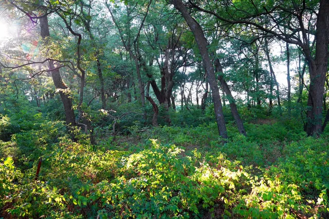 $595,000 | Southwest 175th Street, Rose Hill, KS 67133