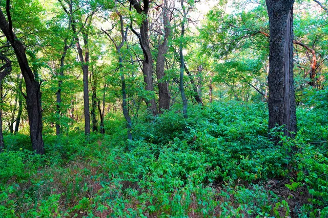 $595,000 | Southwest 175th Street, Rose Hill, KS 67133