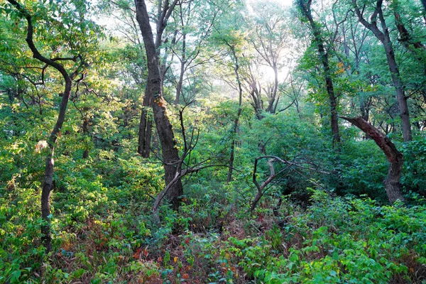 $595,000 | Southwest 175th Street, Rose Hill, KS 67133