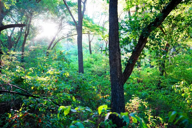 $595,000 | Southwest 175th Street, Rose Hill, KS 67133