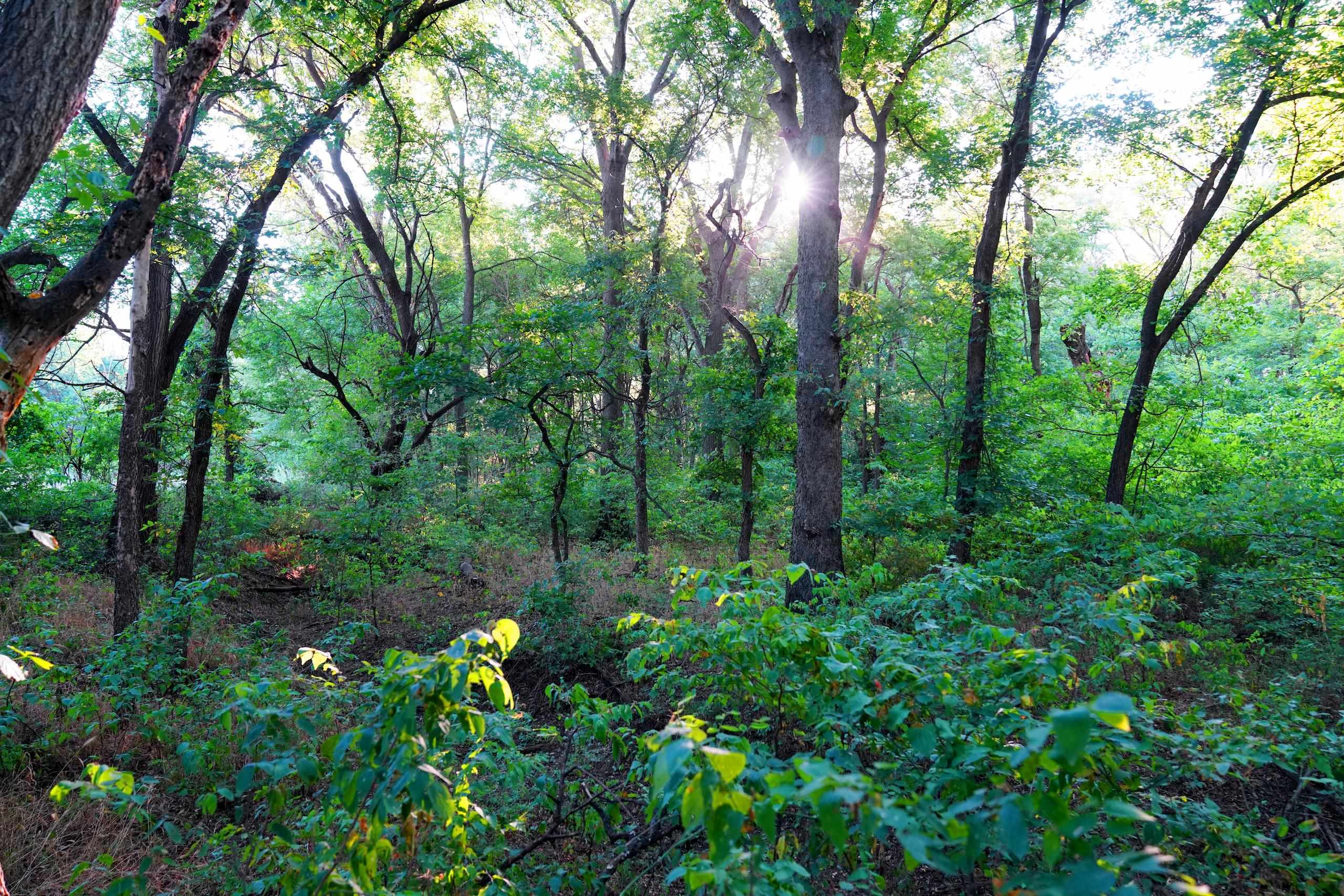 Southwest 175th Street Rose Hill, KS 67133 - Photo 18 of 36