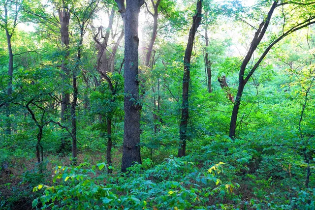 $595,000 | Southwest 175th Street, Rose Hill, KS 67133