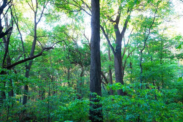 $595,000 | Southwest 175th Street, Rose Hill, KS 67133