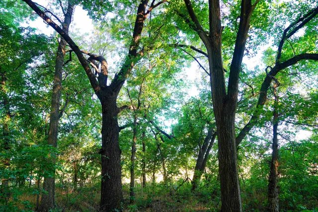 $595,000 | Southwest 175th Street, Rose Hill, KS 67133