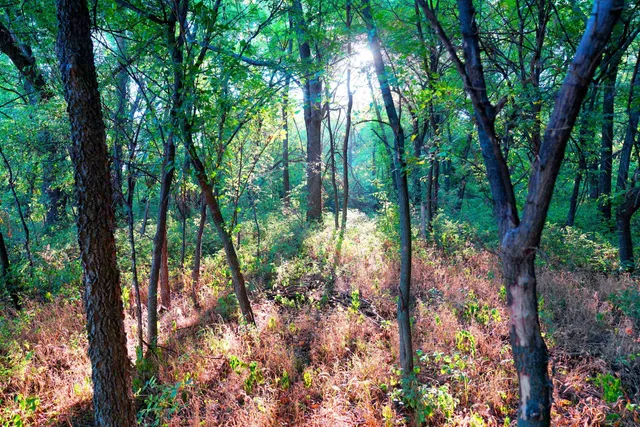 $595,000 | Southwest 175th Street, Rose Hill, KS 67133