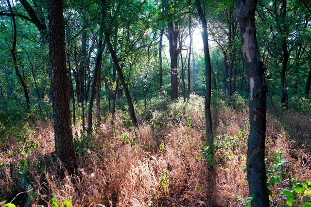 $595,000 | Southwest 175th Street, Rose Hill, KS 67133