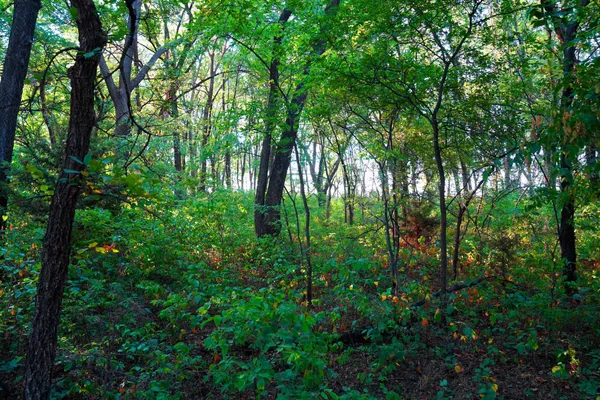 $595,000 | Southwest 175th Street, Rose Hill, KS 67133