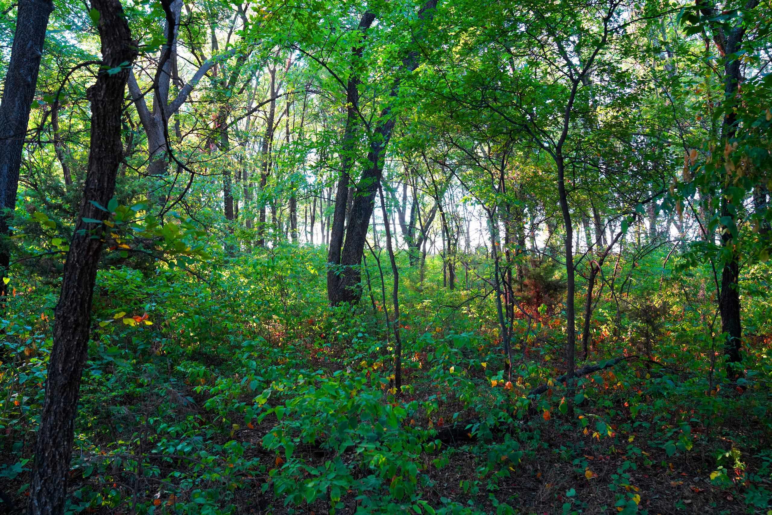 Southwest 175th Street Rose Hill, KS 67133 - Photo 24 of 36