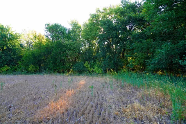 $595,000 | Southwest 175th Street, Rose Hill, KS 67133