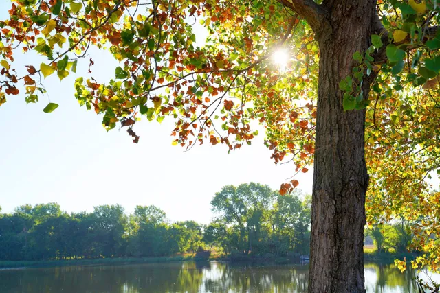 $595,000 | Southwest 175th Street, Rose Hill, KS 67133