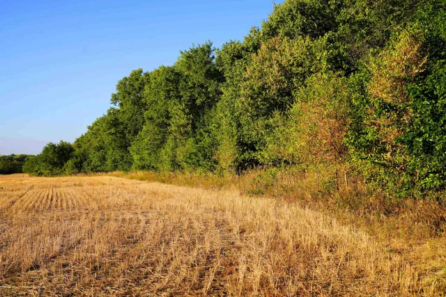 $595,000 | Southwest 175th Street, Rose Hill, KS 67133