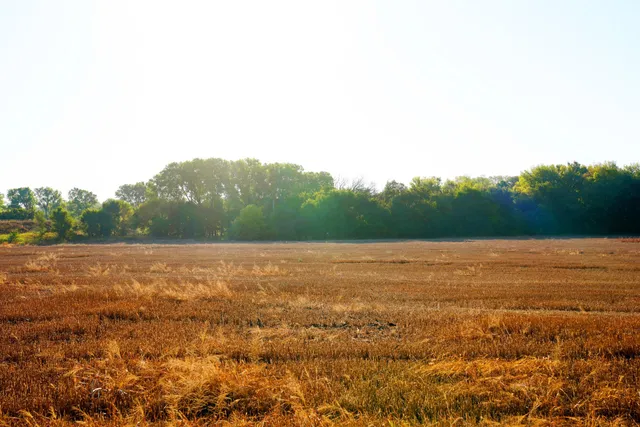 $595,000 | Southwest 175th Street, Rose Hill, KS 67133