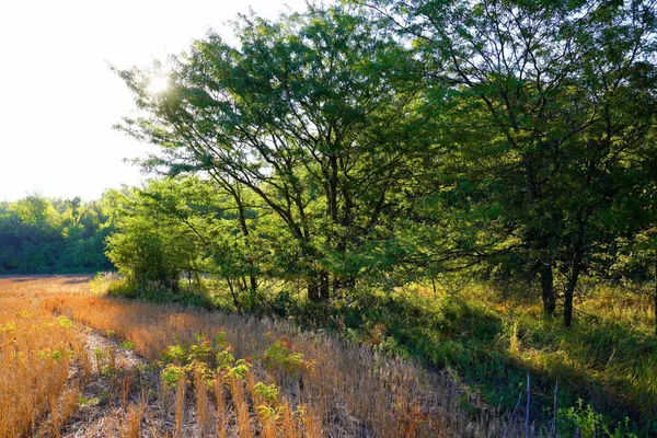 $595,000 | Southwest 175th Street, Rose Hill, KS 67133