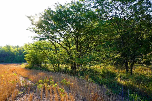 $595,000 | Southwest 175th Street, Rose Hill, KS 67133