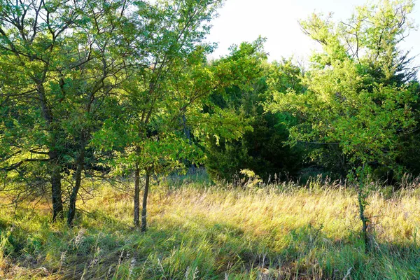 $595,000 | Southwest 175th Street, Rose Hill, KS 67133