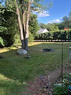 52 Troy Lane, Unit 52 Newton, MA 02468 - Photo 15 of 15