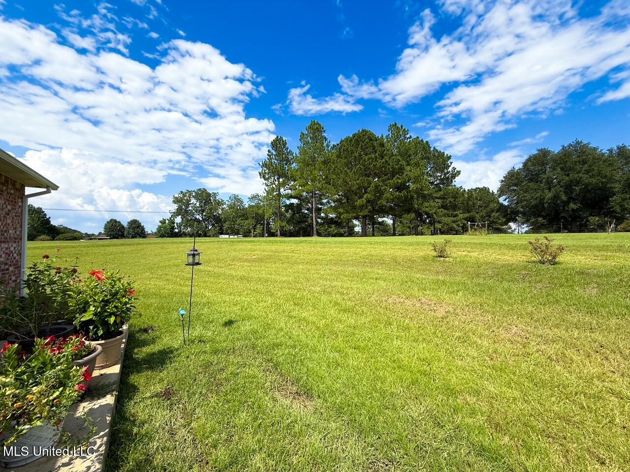 3108 County Line Road West Summit, MS 39666 - Photo 20 of 24 IMG_3780
