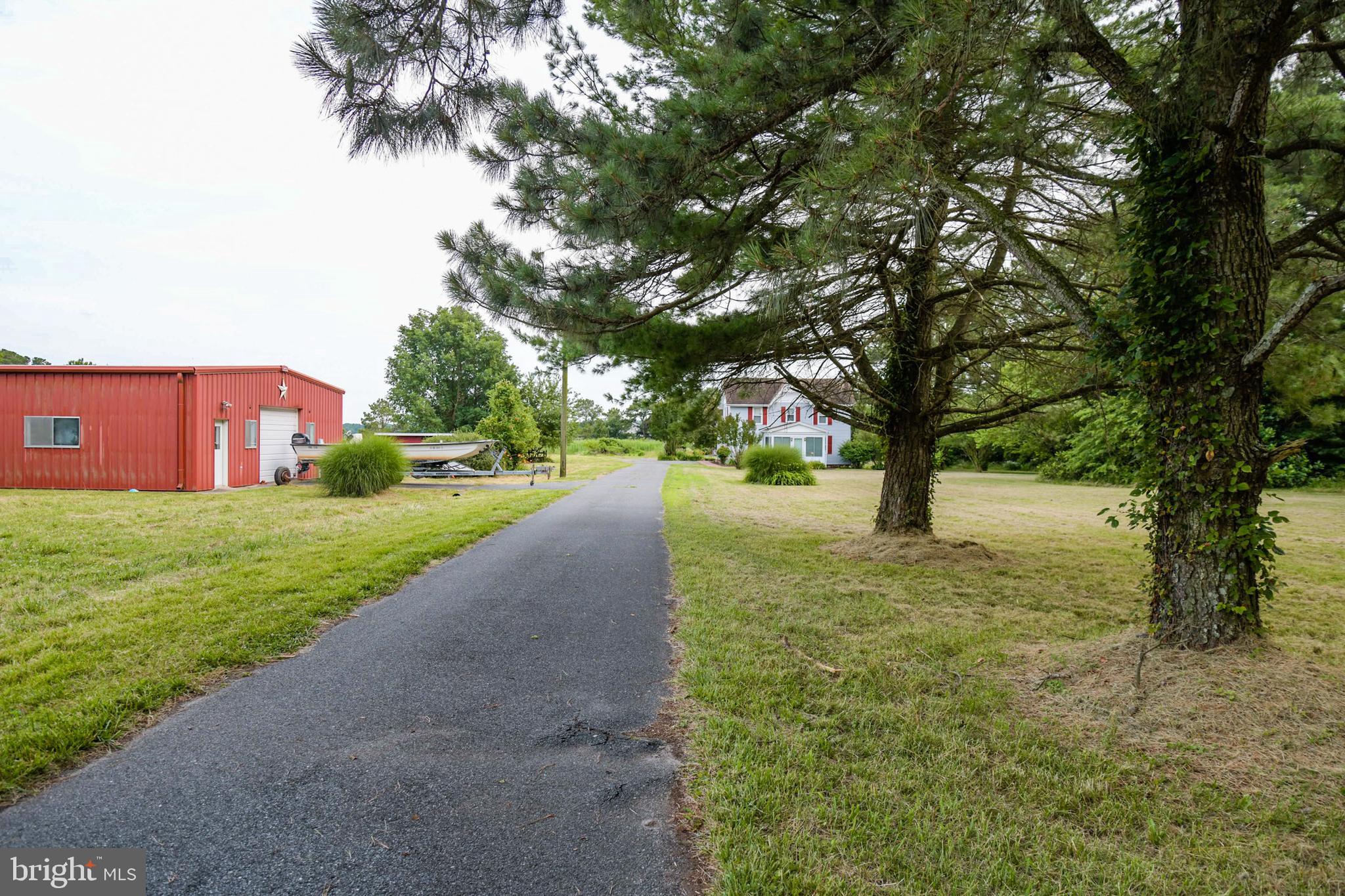 10826 Brownstone Road Princess Anne, MD 21853 - Photo 52 of 68 a view of yard with tree