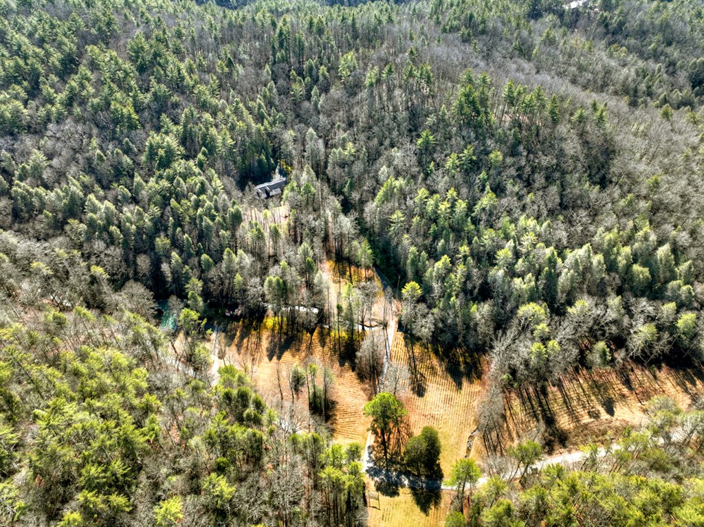 7233 Shakerag Road Ellijay, GA 30540 - Photo 103 of 121