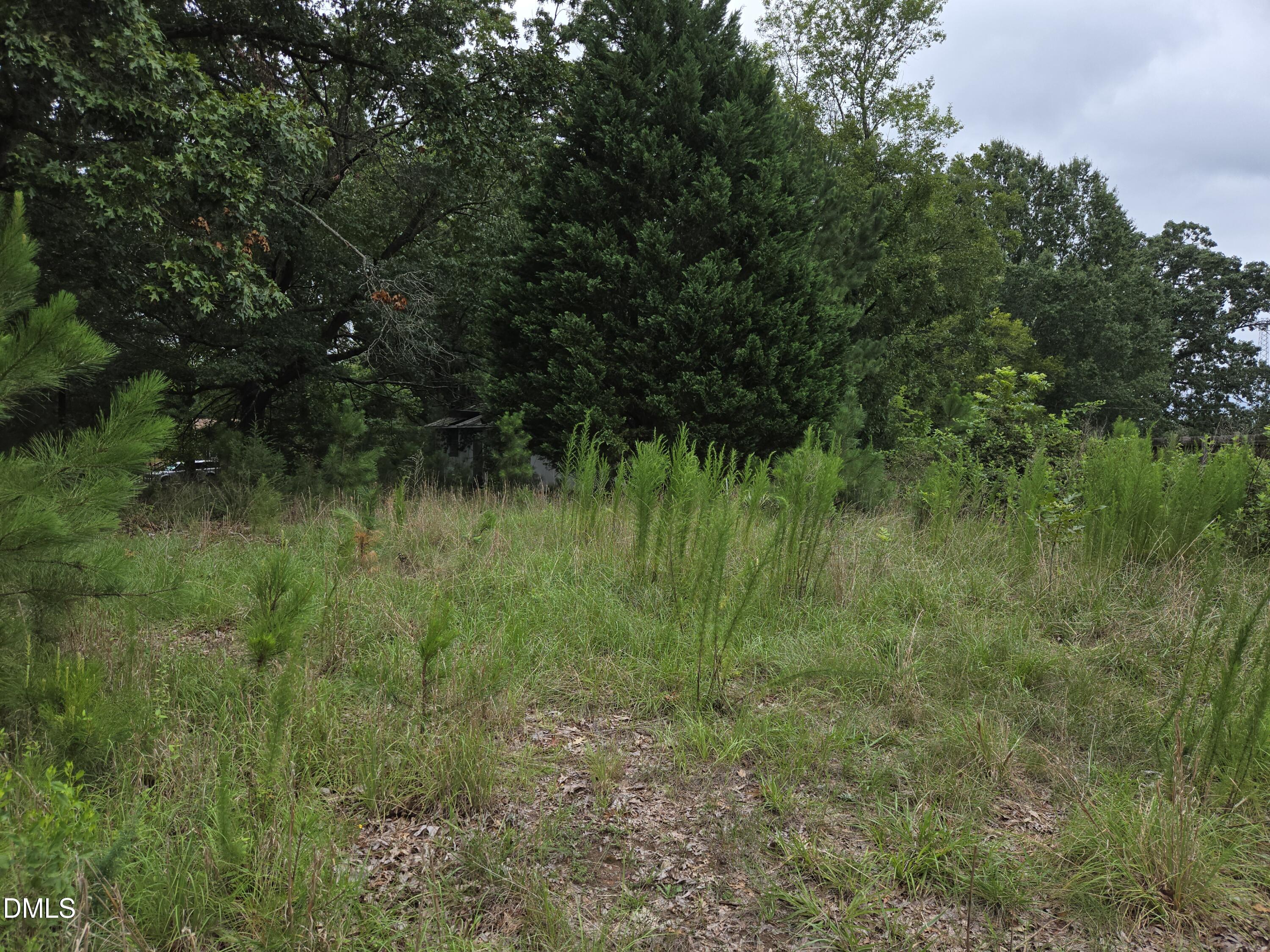 2808 Durham Road Wake Forest, NC 27587 - Photo 2 of 4 1000009589