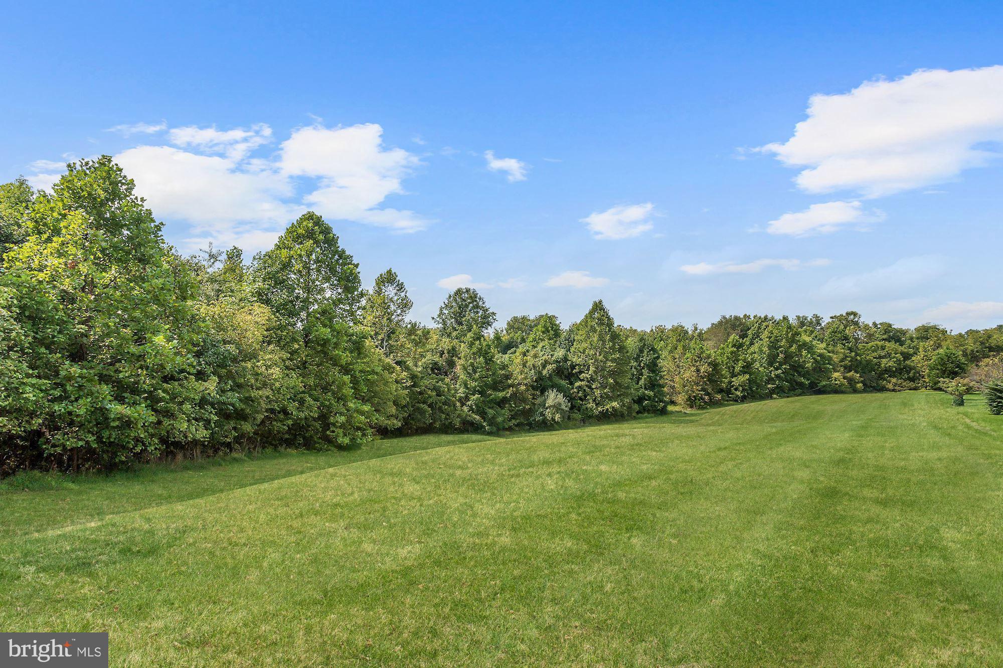 18518 Crestmount Road Boyds, MD 20841 - Photo 65 of 91 Private Lot | Backs to Trees