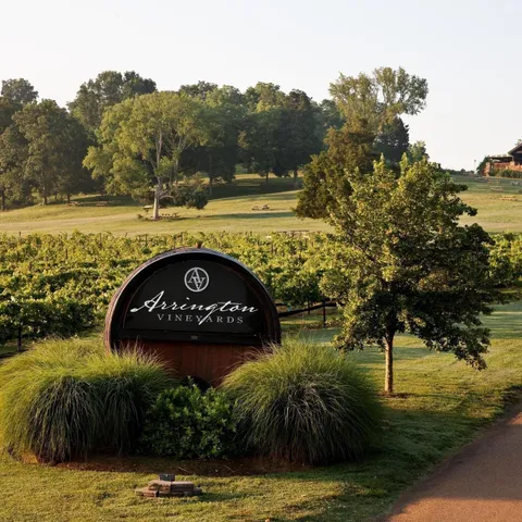 $1,690,000 | 4728 Woodrow Place, Arrington, TN 37014