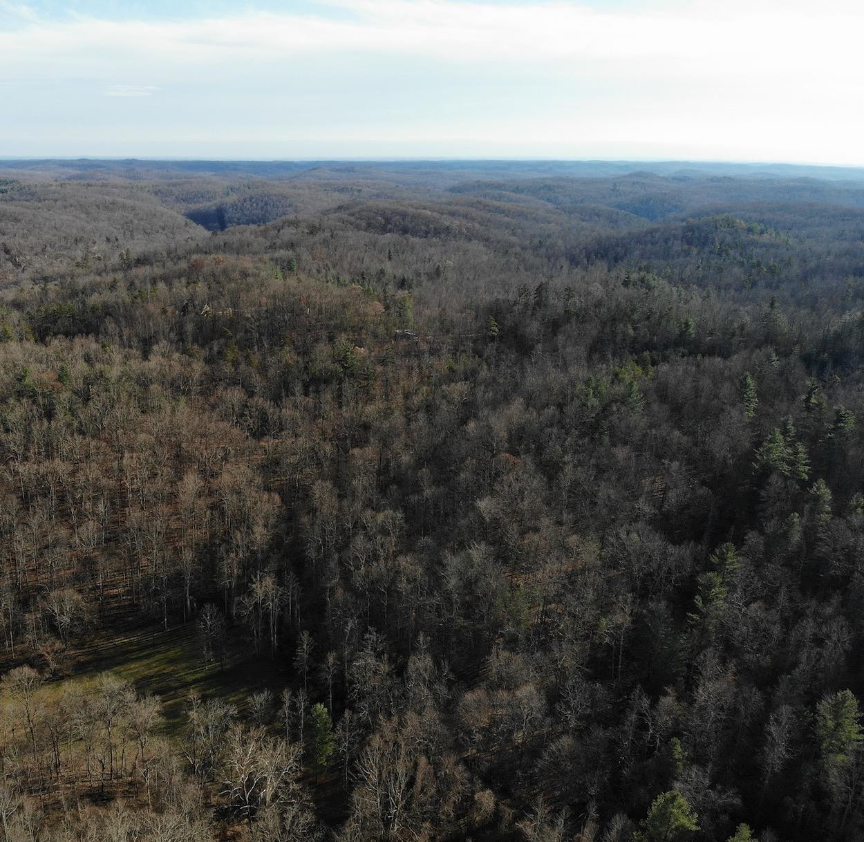 1 Woodward Ridge Road Ravenna, KY 40472 - Photo 1 of 19 Listing Photo