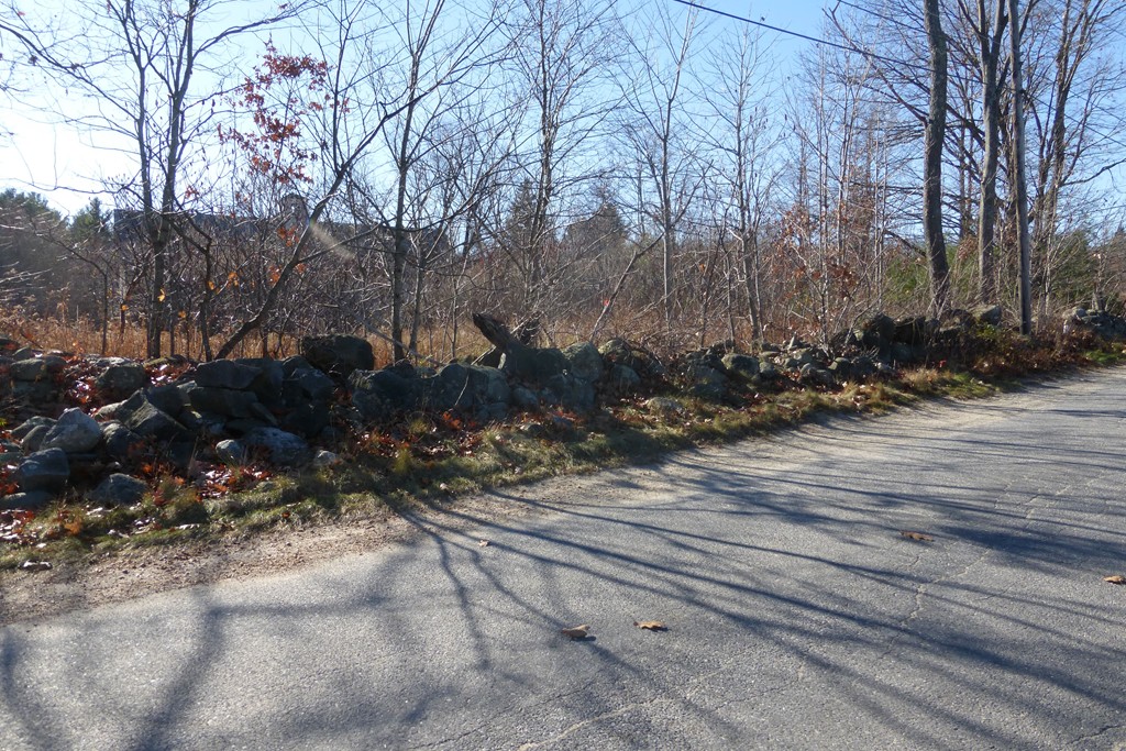 Lot 2 Tuttle Road Sterling, MA 01564 - Photo 3 of 3 a view of a yard with trees
