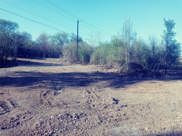 a view of a yard with a tree