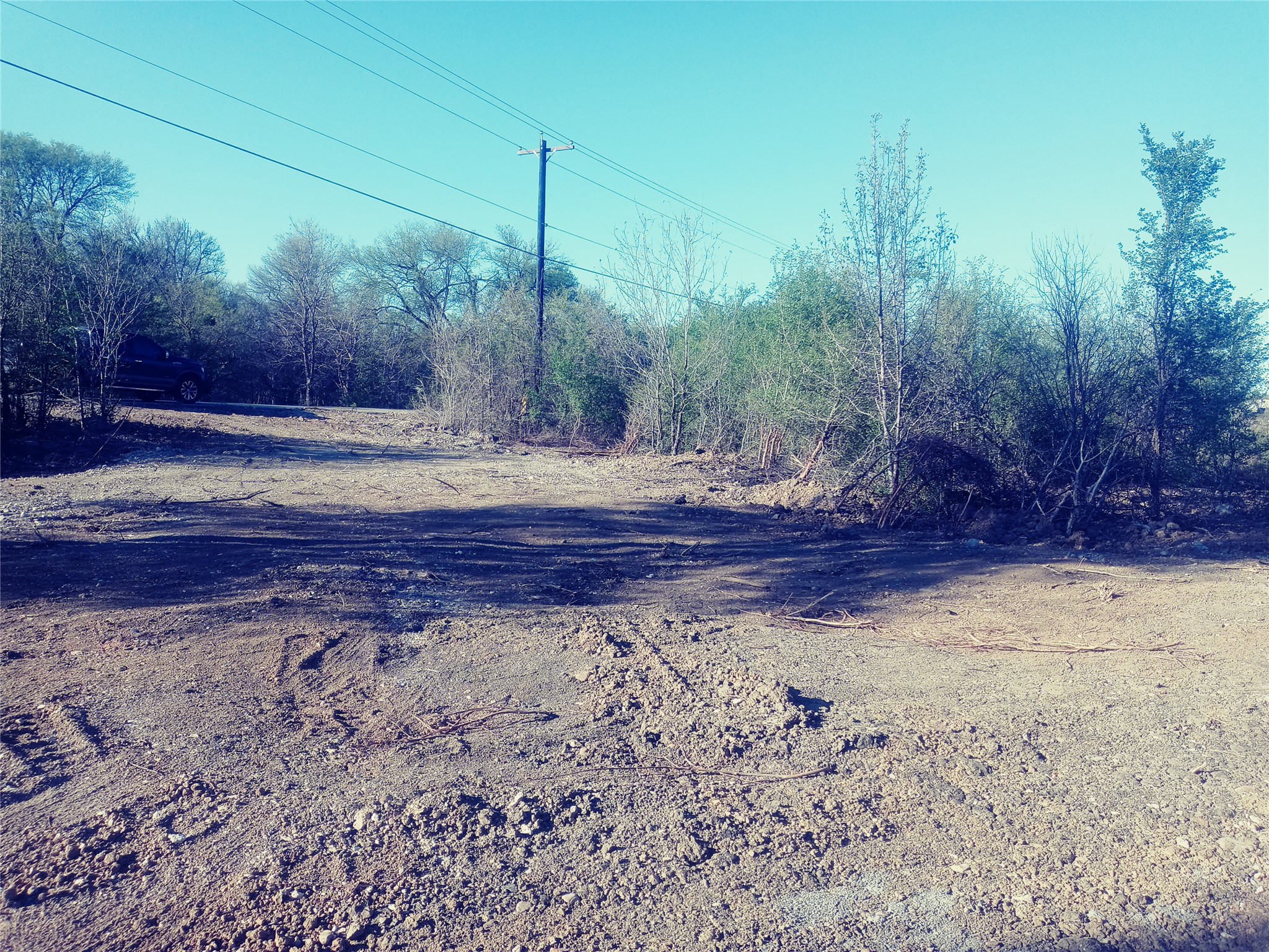 8818 Elroy Road Del Valle, TX 78617 - Photo 2 of 6 a view of a yard with a tree