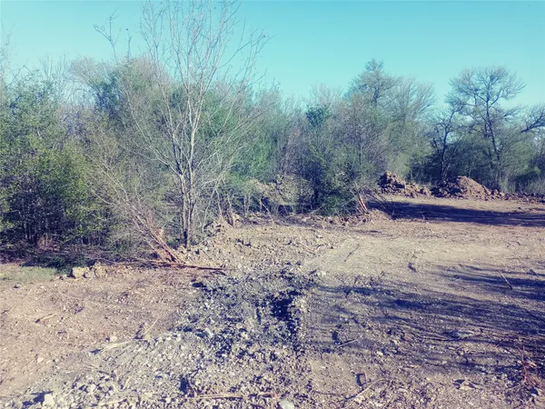 a view of a yard with a tree