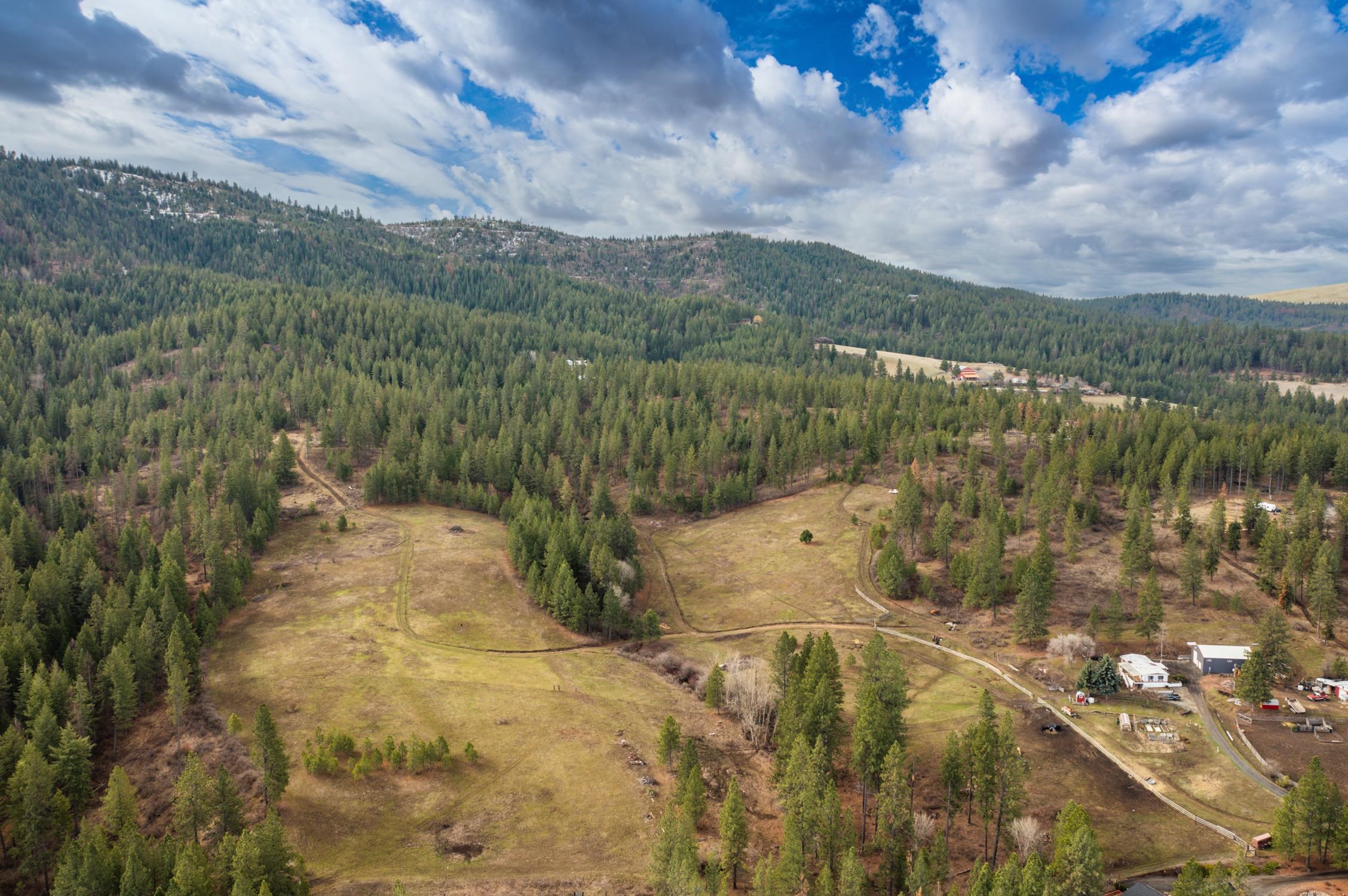 179-xx East Belmont Road, Unit LOT #4 Mica, WA 99023 - Photo 2 of 8