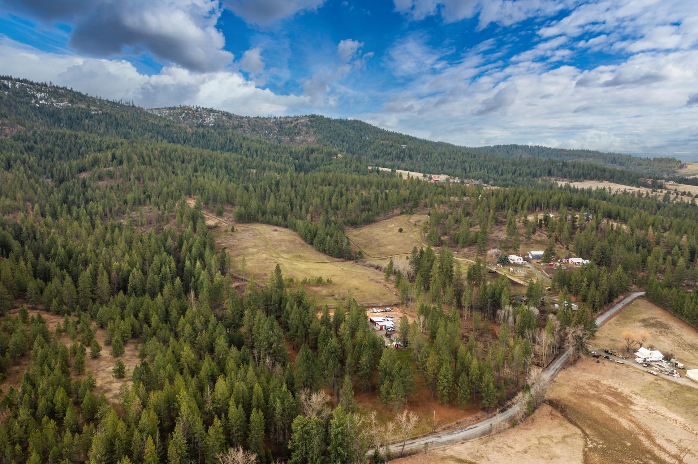 179-xx East Belmont Road, Unit LOT #4 Mica, WA 99023 - Photo 3 of 8