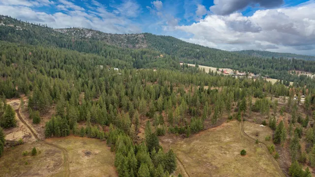 $380,000 | 179-xx East Belmont Road, Unit LOT #4, Mica, WA 99023