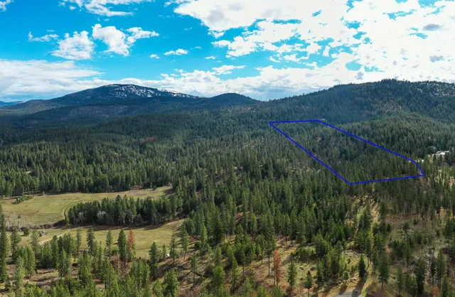 $380,000 | 179-xx East Belmont Road, Unit LOT #4, Mica, WA 99023