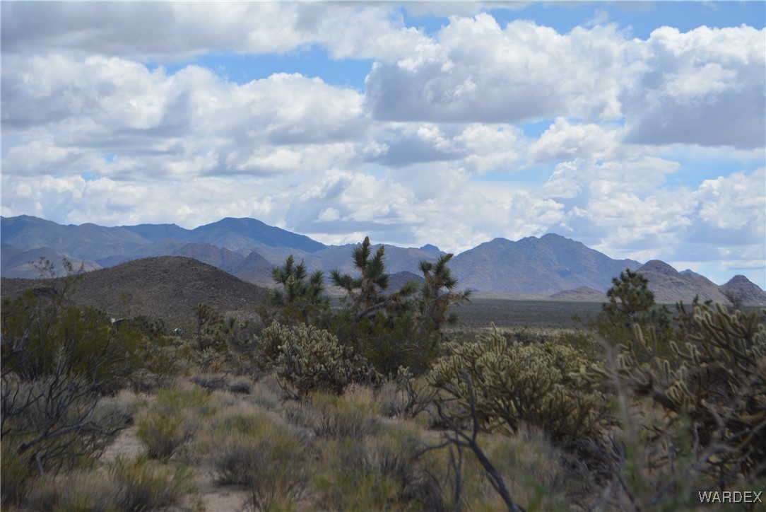 11900 Alan Road Yucca, AZ 86438 - Photo 60 of 99 Gallery Image 60
