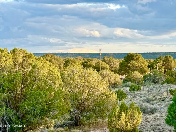 $15,000 | 4428 Colt Road, Snowflake, AZ 85937