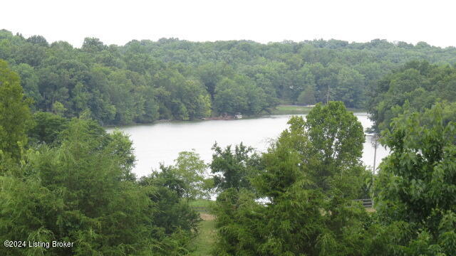 1001 Willisburg Road Lawrenceburg, KY 40342 - Photo 50 of 80 IMG_4950