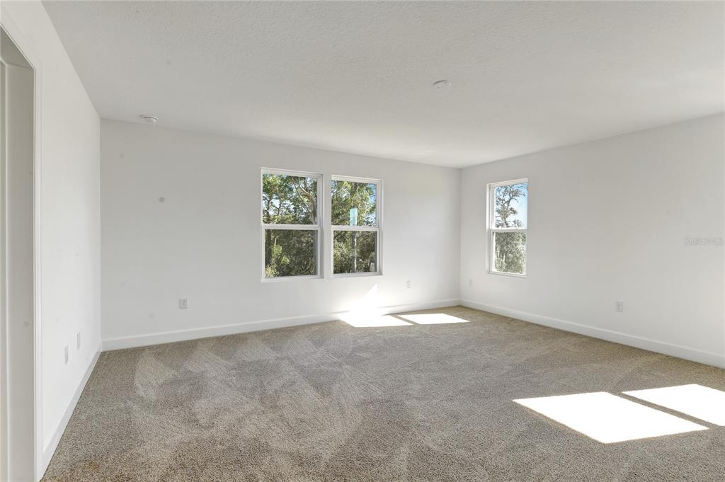 1010 Cloud Rdg Court Mount Dora, FL 32757 - Photo 12 of 19