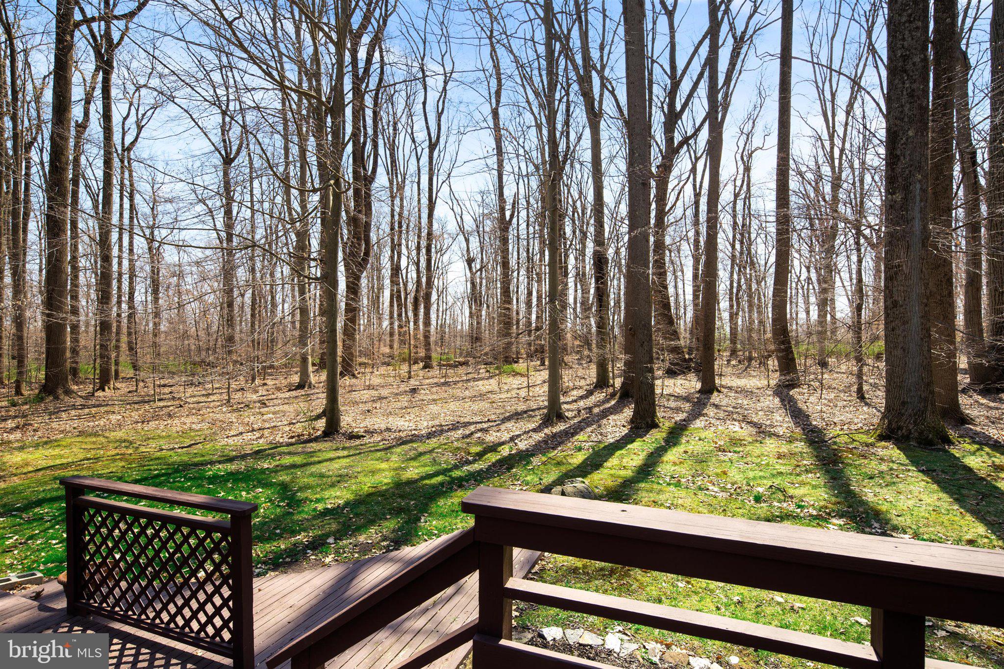 100 Woosamonsa Road Pennington, NJ 08534 - Photo 35 of 38