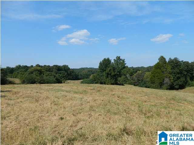 9545 Bankston Road Dora, AL 35062 - Photo 4 of 4