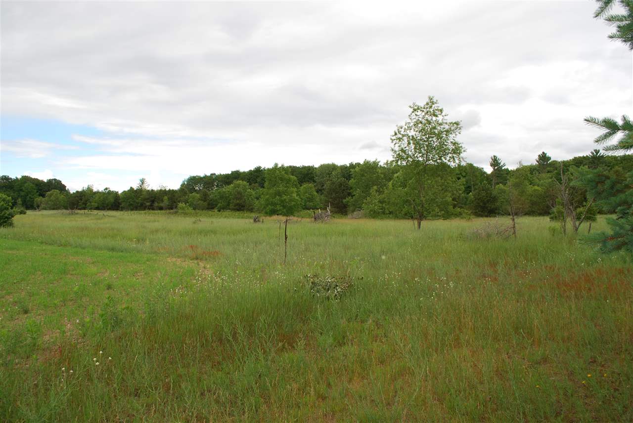 6773 Kenny Road Kaleva, MI 49645 - Photo 41 of 47 1826335-40.JPG