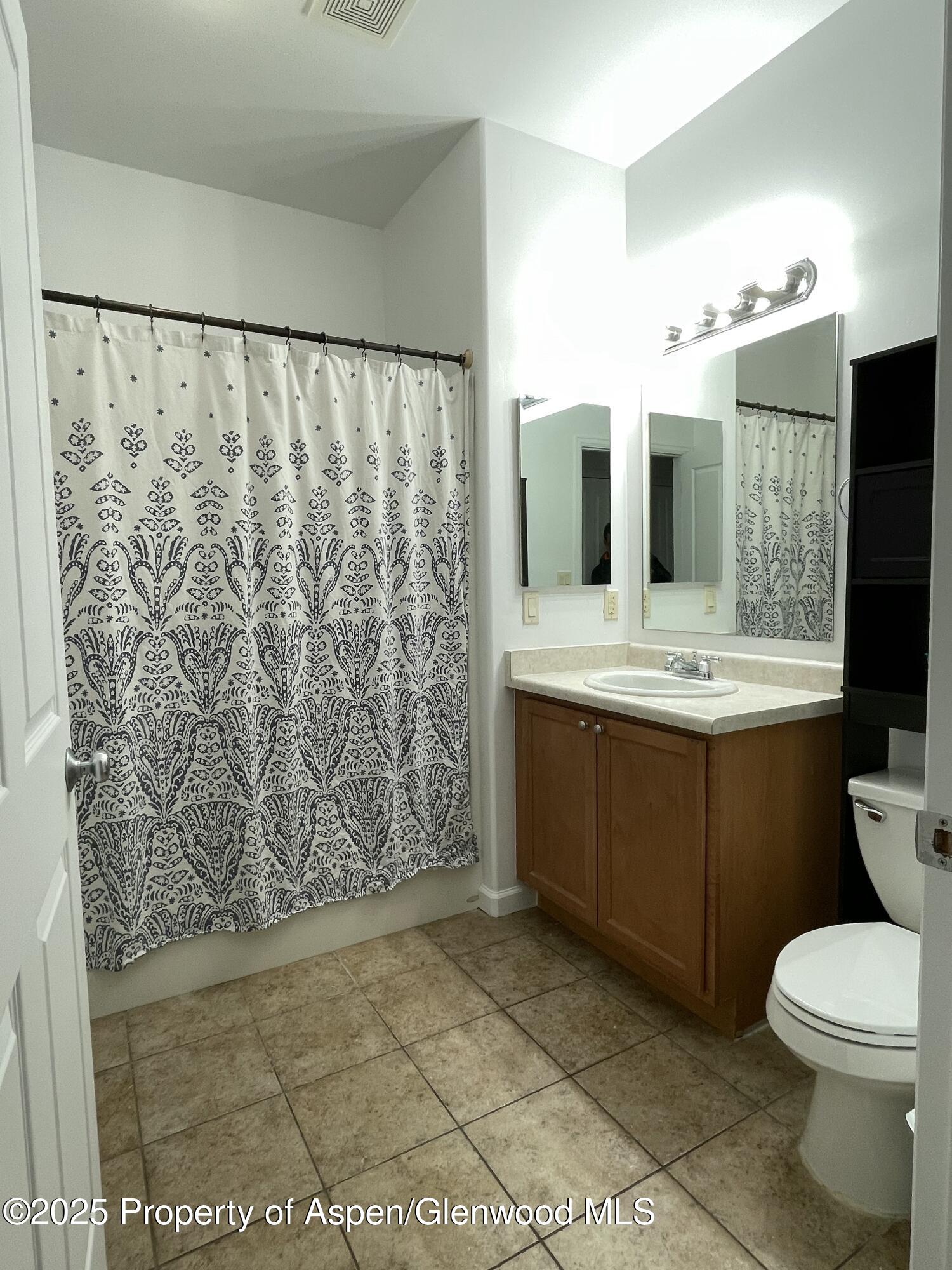 712 Lakeside Drive Basalt, CO 81621 - Photo 9 of 21 a bathroom with a sink a toilet and mirror