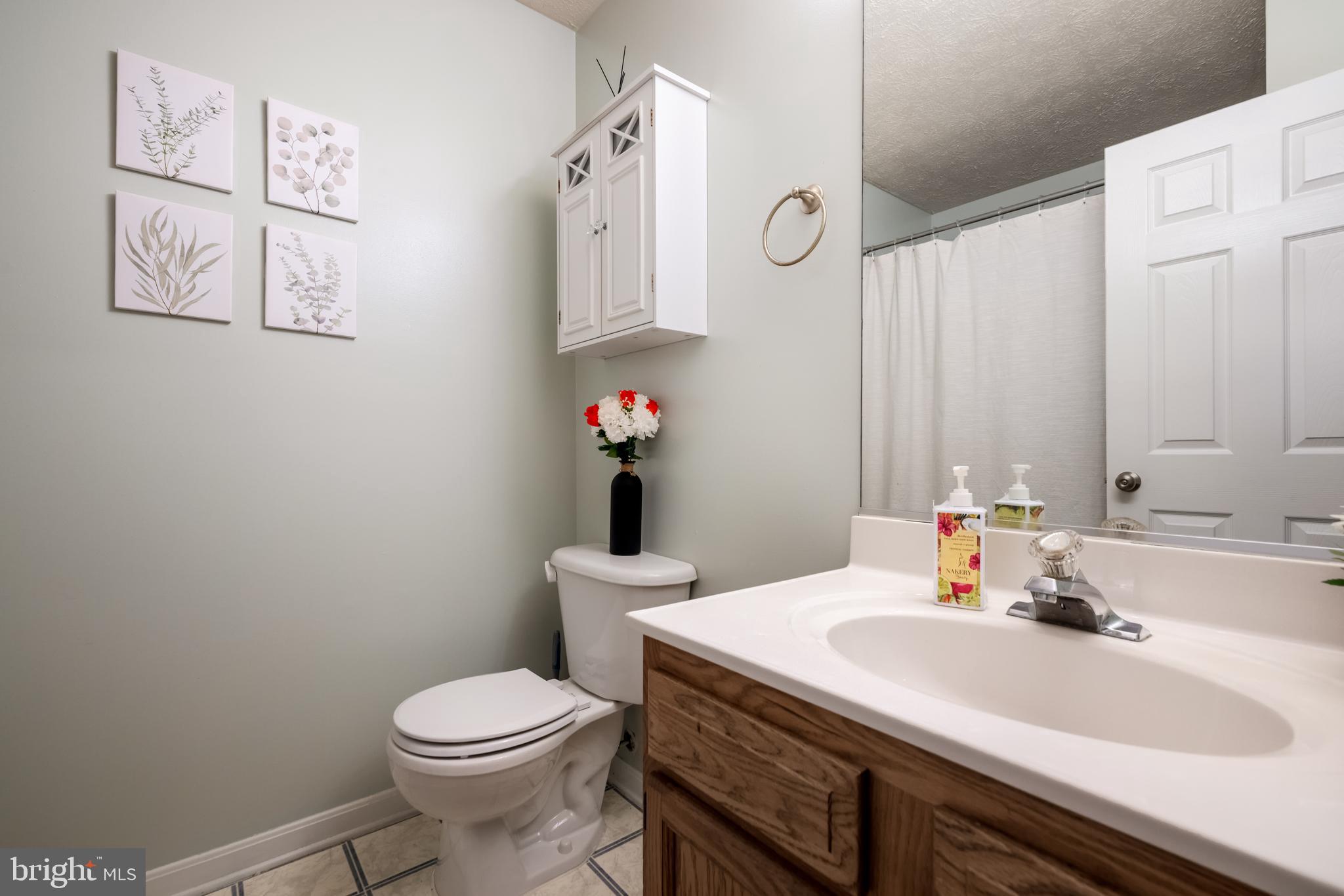 143 Club House Road Front Royal, VA 22630 - Photo 20 of 38 a bathroom with a sink vanity mirror and toilet